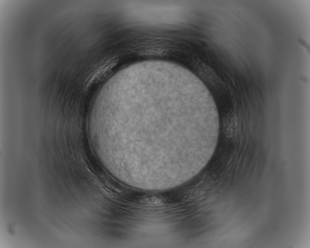 X0000097770735200804041152