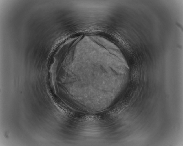X0000097770736200804041152