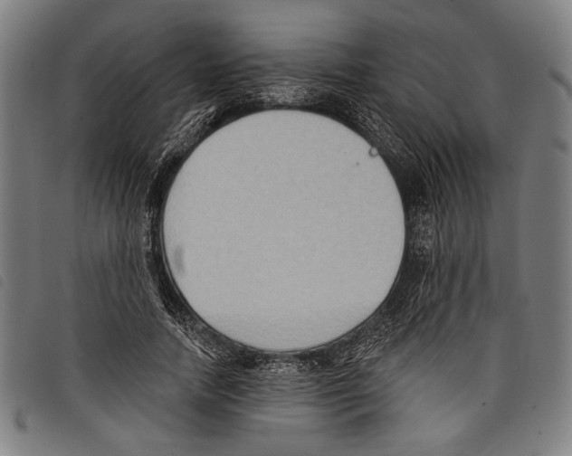 X0000097770738200804041152
