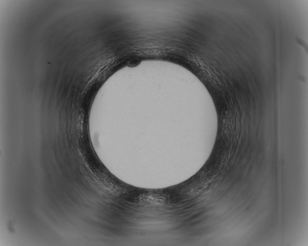 X0000097770739200804041152