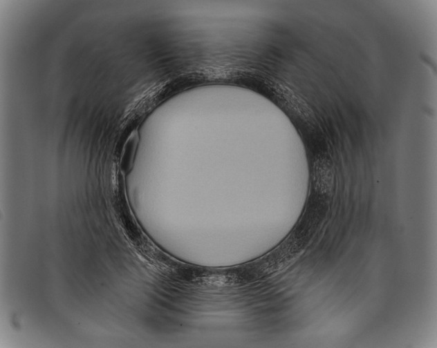X0000097770740200804041152