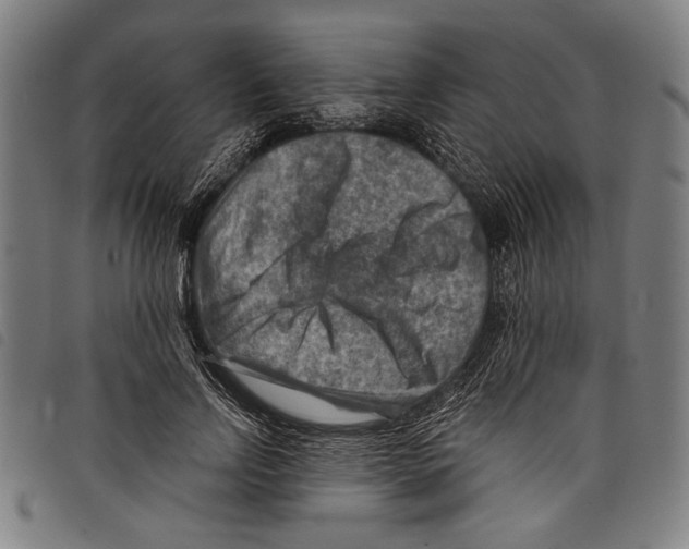 X0000097770742200804041152
