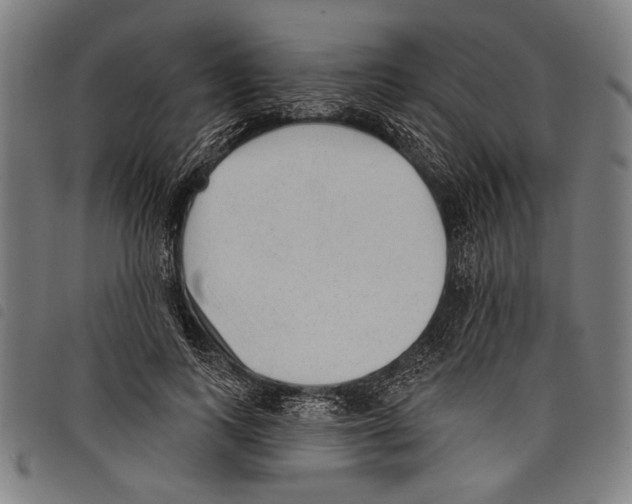 X0000097770743200804041152