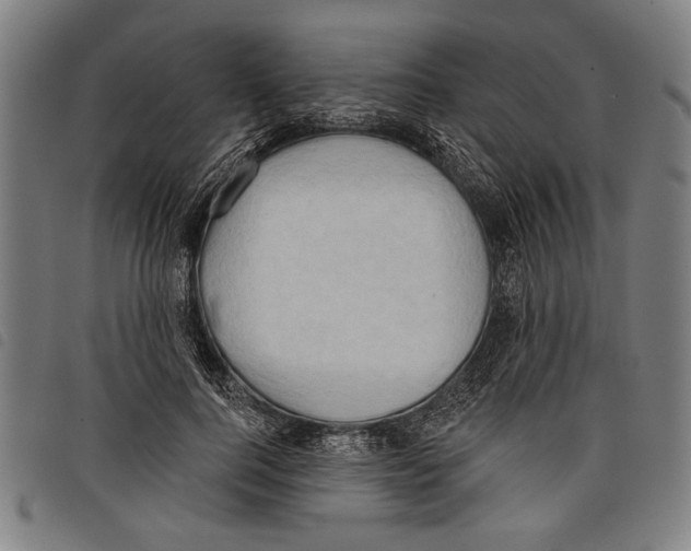 X0000097770744200804041152