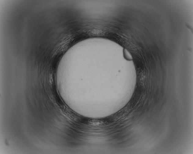 X0000097770746200804041152