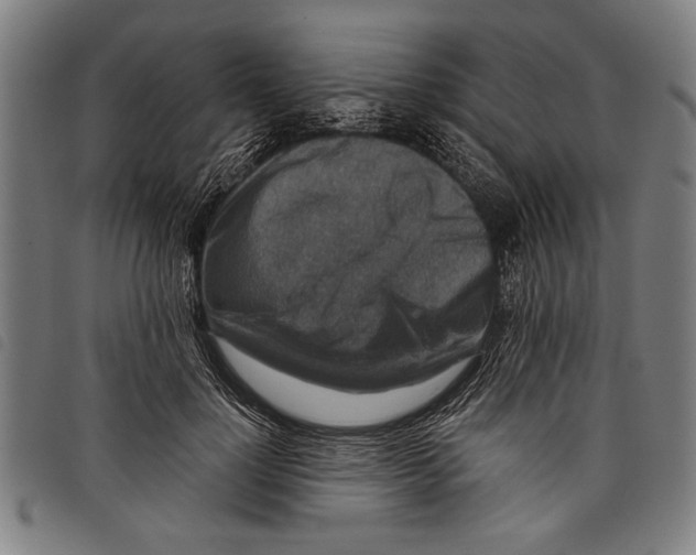 X0000097770748200804041152
