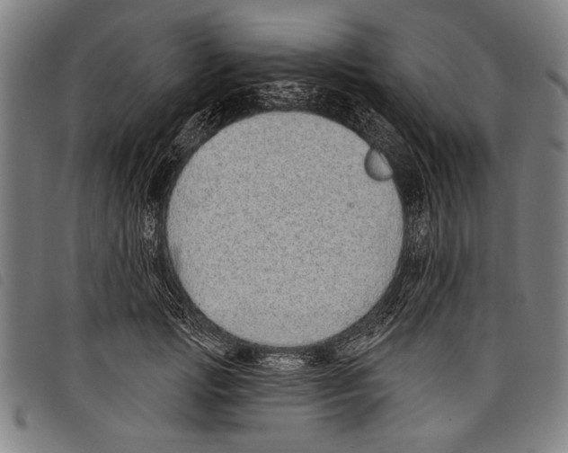 X0000097770749200804041152