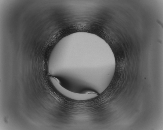 X0000097770750200804041152