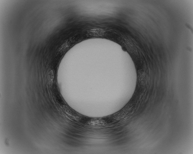 X0000097770752200804041152
