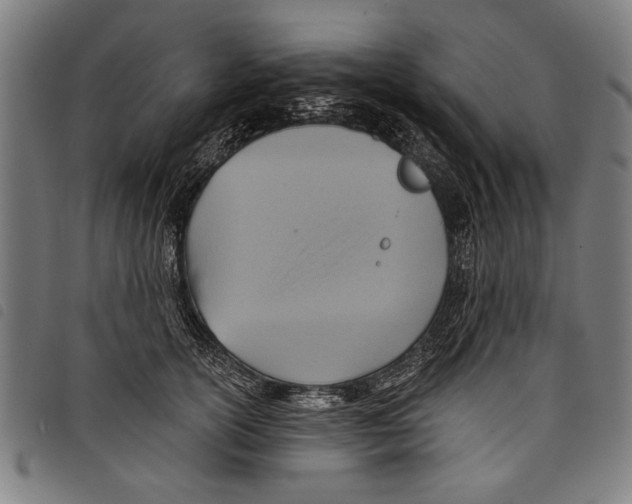 X0000097770754200804041152