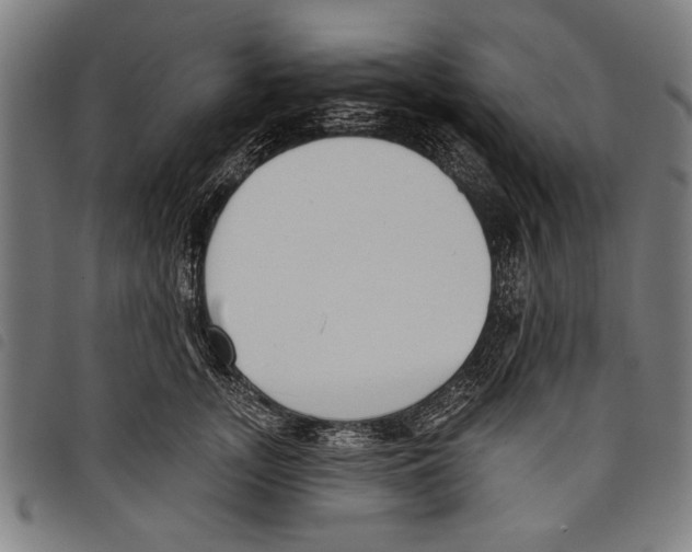 X0000097770755200804041152