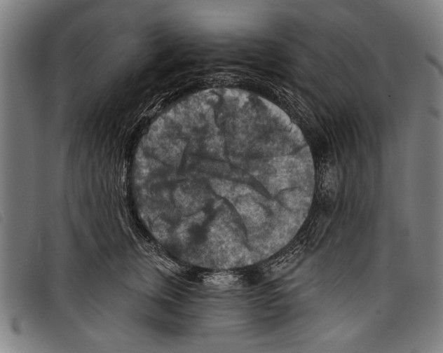 X0000097770759200804041152