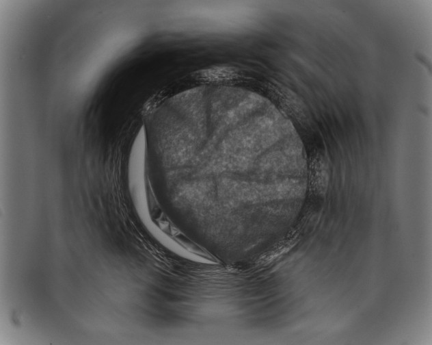 X0000097770762200804041152