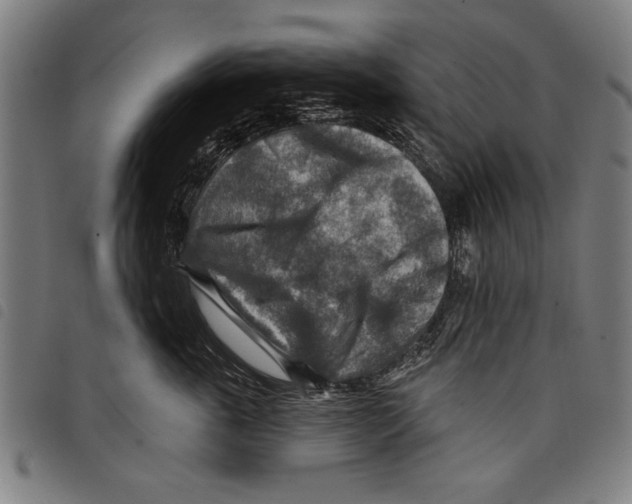 X0000097770763200804041152