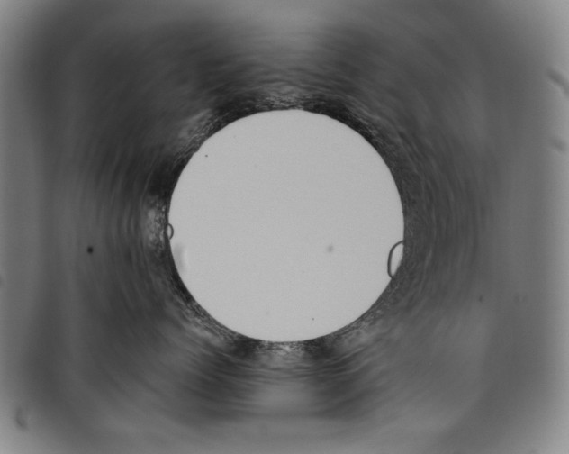 X0000097770768200804041152