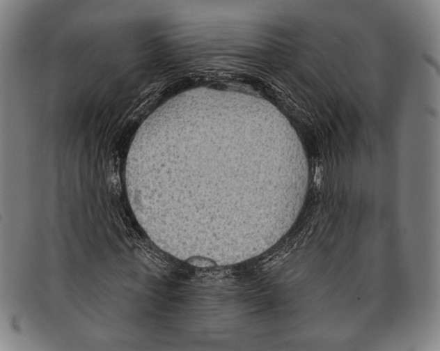 X0000097770771200804041151