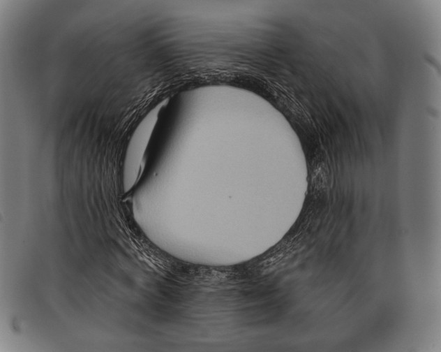 X0000097770772200804041151