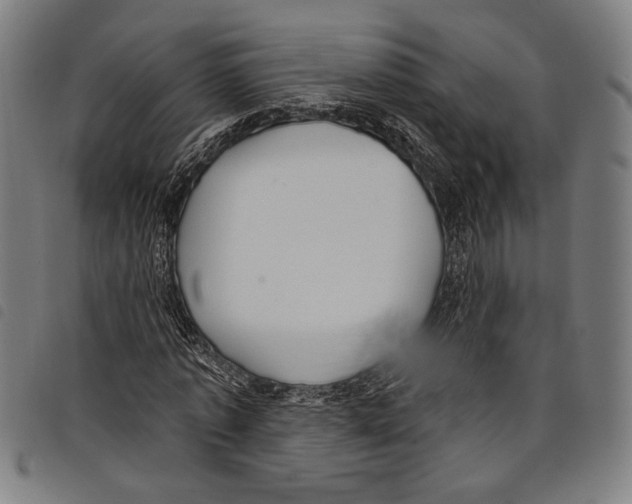 X0000097770773200804041151