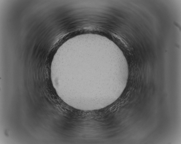 X0000097770776200804041151