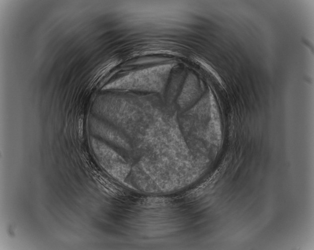 X0000097770777200804041151