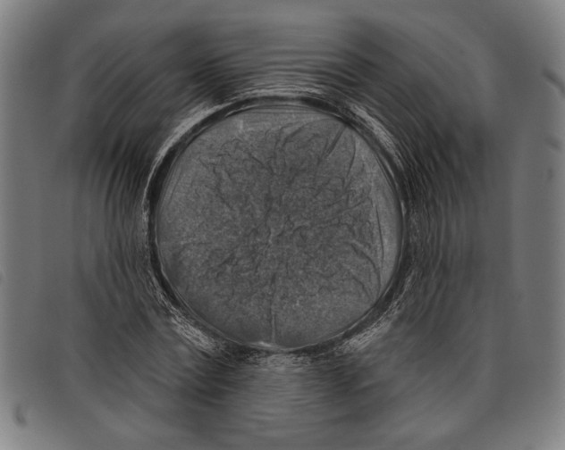 X0000097770779200804041151