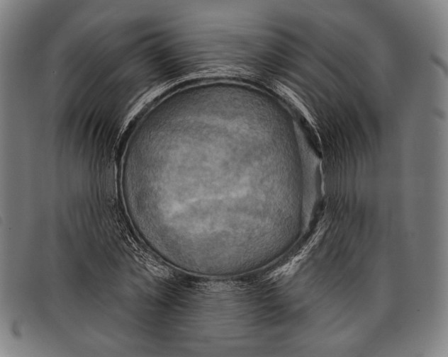 X0000097770781200804041151