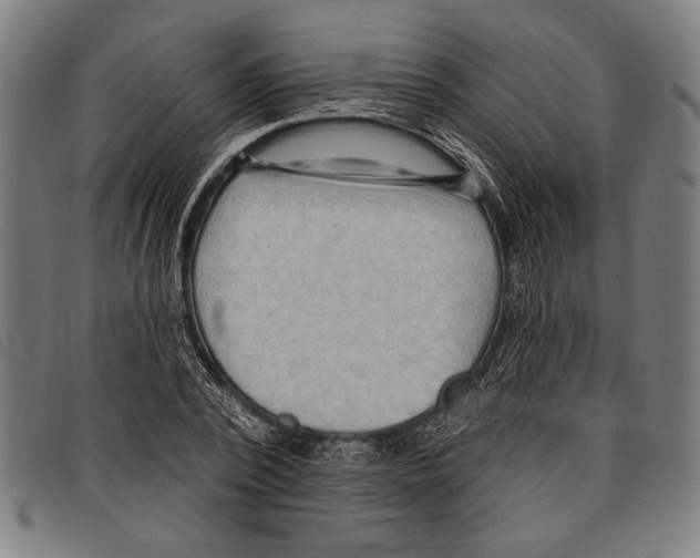 X0000097770784200804041151