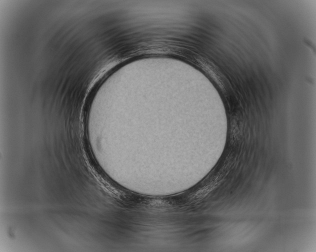 X0000097770787200804041151