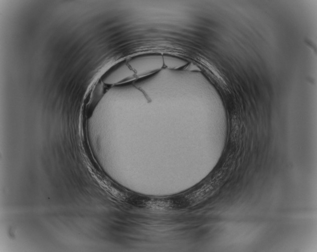 X0000097770788200804041151