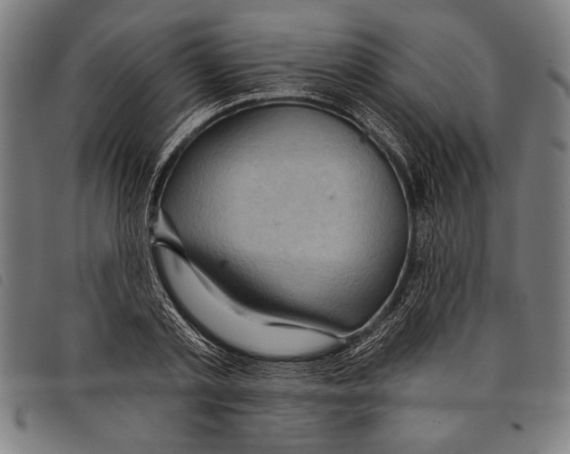 X0000097770789200804041151
