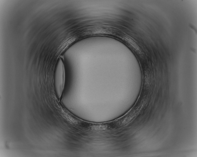 X0000097770793200804041151