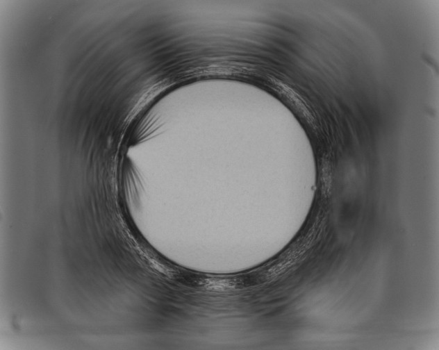 X0000097770794200804041151