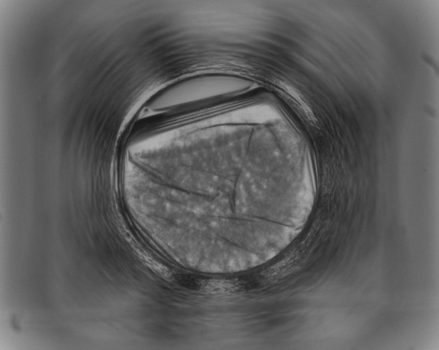 X0000097770796200804041151
