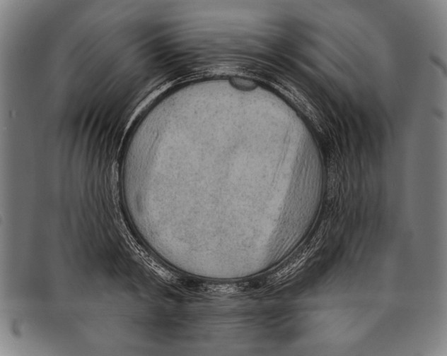 X0000097770798200804041151