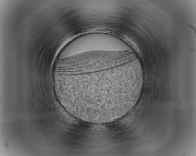 X0000097770800200804041151