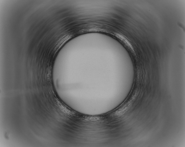 X0000097770801200804041151