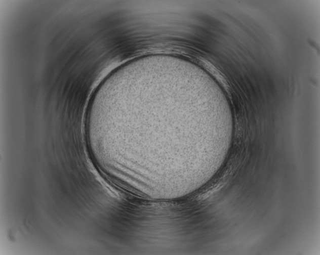 X0000097770803200804041151
