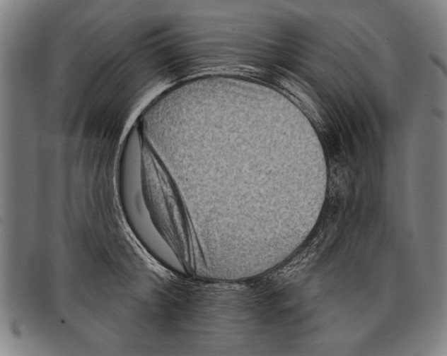 X0000097770804200804041151