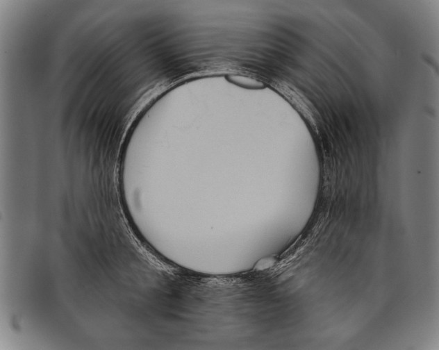 X0000097770805200804041151