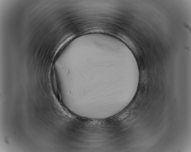 X0000097770806200804041151