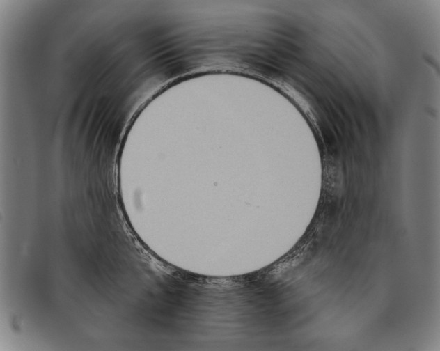 X0000097770807200804041151