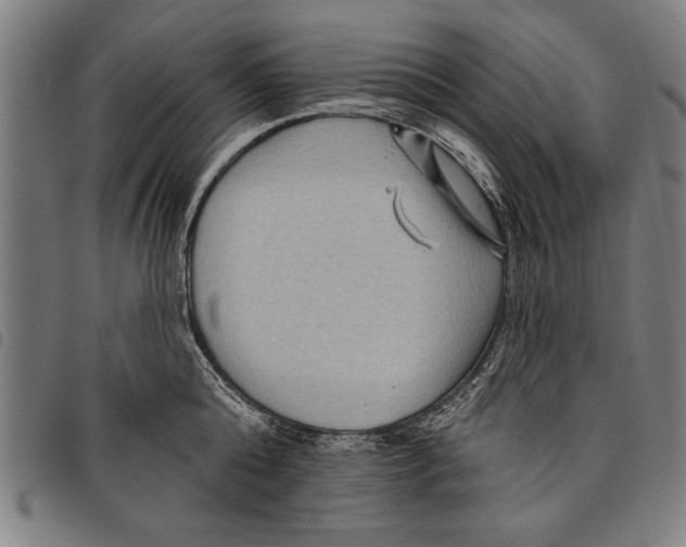 X0000097770808200804041151