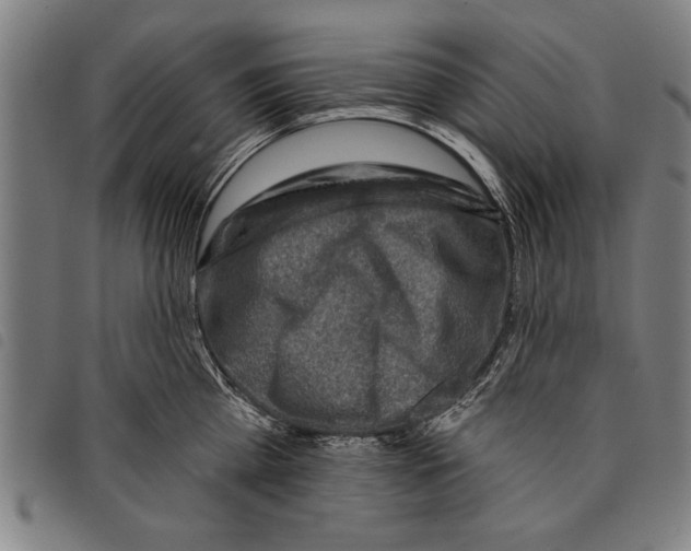 X0000097770809200804041151
