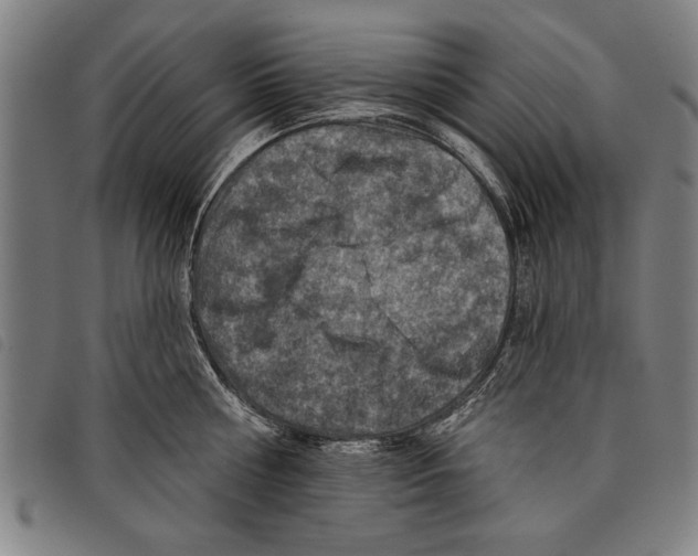 X0000097770810200804041151