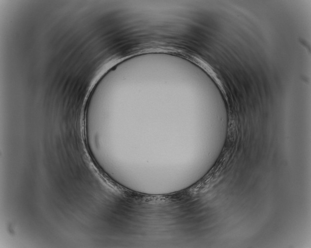 X0000097770811200804041151