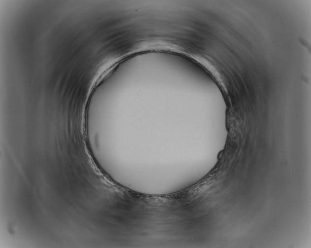 X0000097770815200804041151