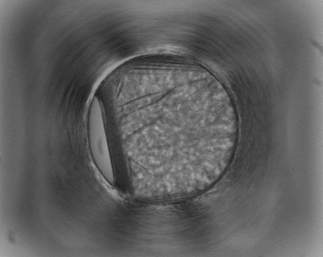 X0000097770816200804041151