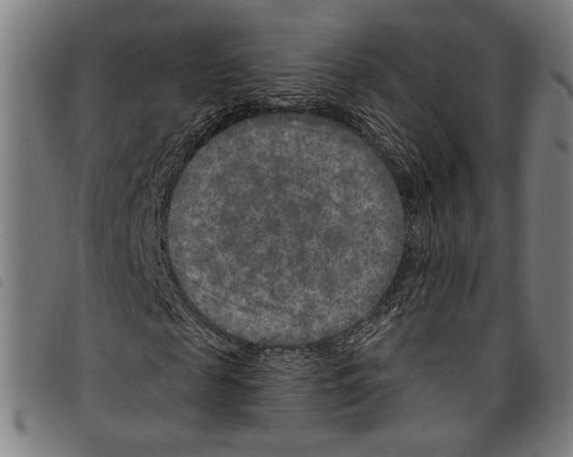 X0000097770817200804041150