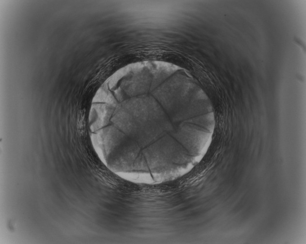X0000097770818200804041150