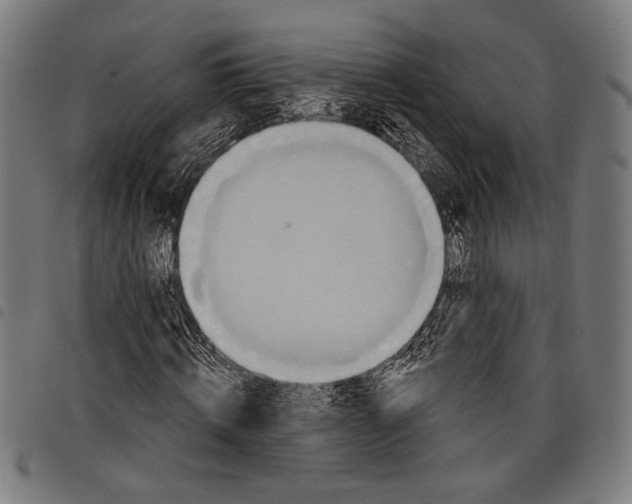 X0000097770820200804041150